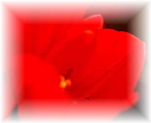 �q�[�����O�@���b�h